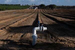La Fiscalía pide investigar a cuatro hermanos de la Casa de Alba por sus pozos irregulares junto a Doñana