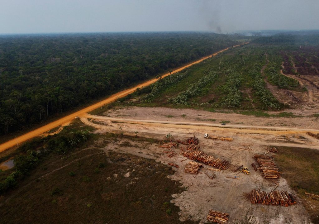Los incendios provocan una pérdida de bosques histórica: los tropicales desaparecen a un ritmo de 18 campos de fútbol por minuto