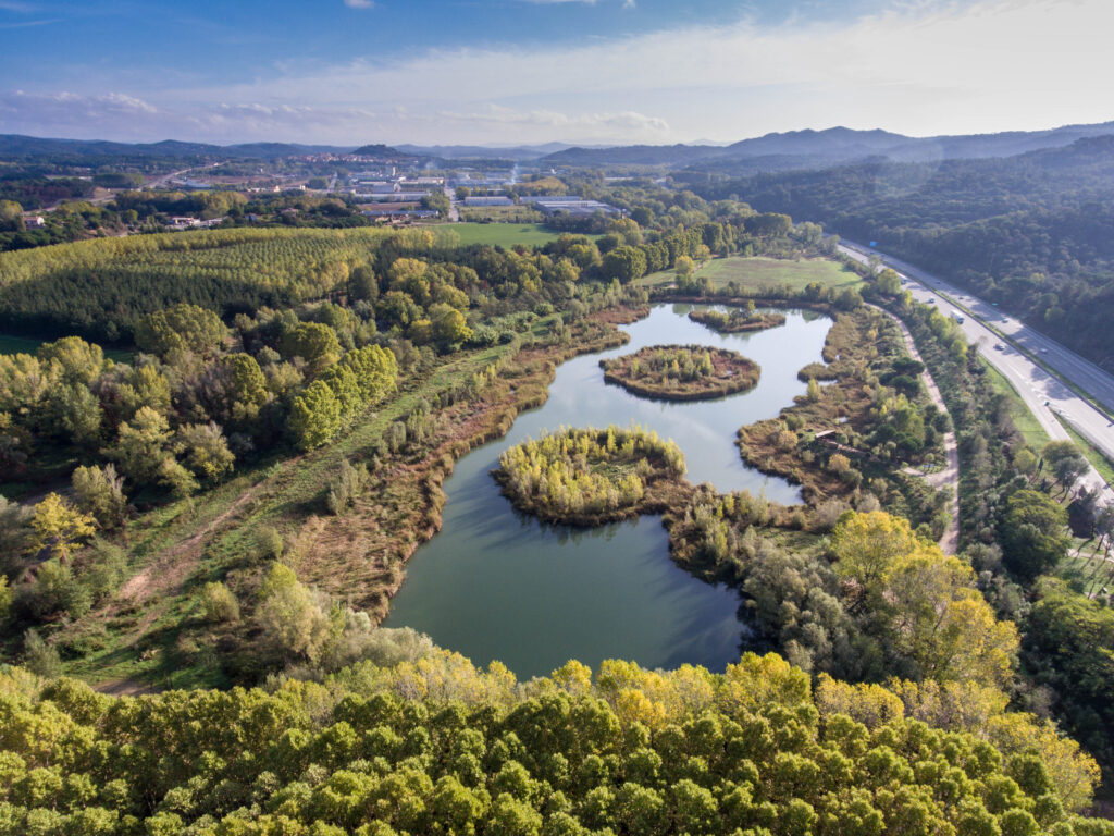 El ADN ambiental de una muestra de agua: conservacionistas empiezan a usar pruebas genéticas para mejorar la gestión de ecosistemas