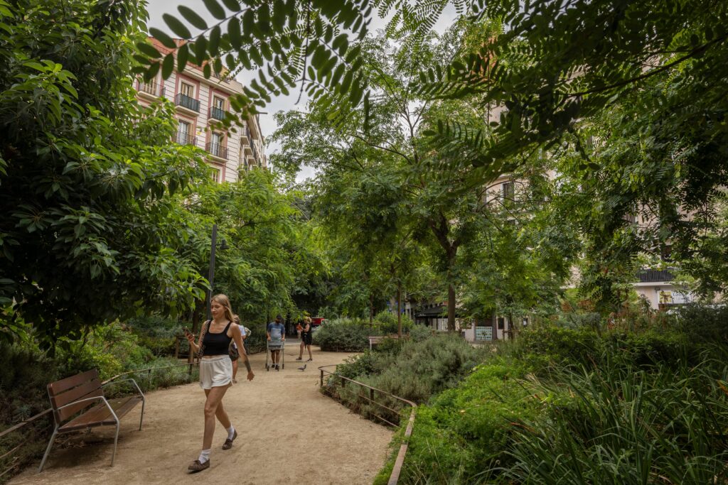 El calor transforma las ciudades: llega el momento de despavimentar