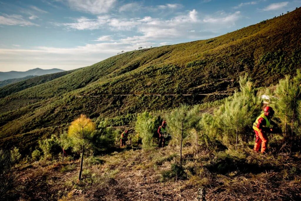 Bruselas quiere incentivar la protección de la naturaleza con “créditos” que animen a invertir en medio ambiente