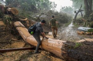 De las inundaciones de Texas a la inacción de Trump: tiempo de Corte a la emergencia climática