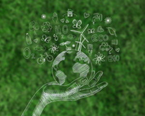 ecoideas_defecto