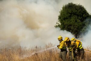¿Cómo avanzan los incendios del verano? Consulte el mapa con los últimos fuegos activos