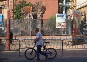 Los ecologistas piden conservar el tronco del ficus de San Jacinto en Sevilla: “Que se sepa la barbaridad que han hecho”