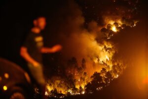 Rentabilidad para apagar el monte